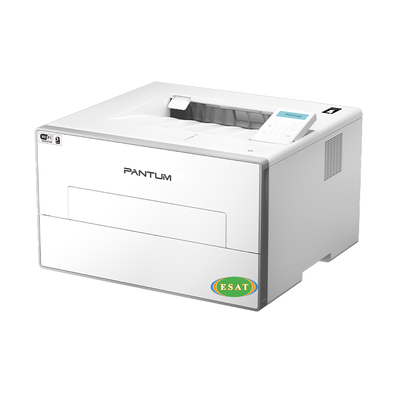 Máy in đơn năng đen trắng BP4202DW